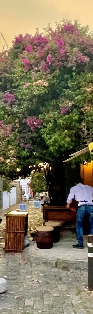 Ohne Spanischkenntnisse in Colonia